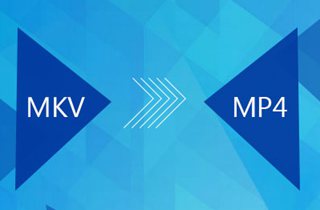 konvertiere mkv in mp4