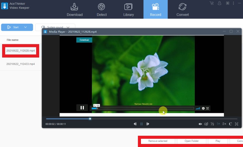 download livestream video vk record play