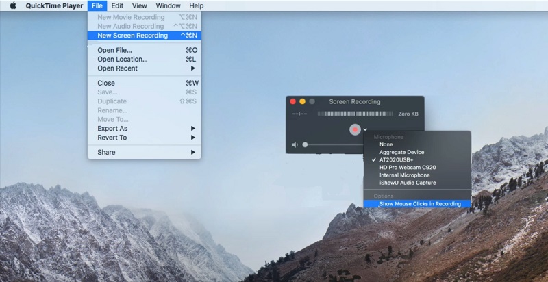 quicktime player main interface