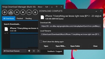 ninja downloader interface