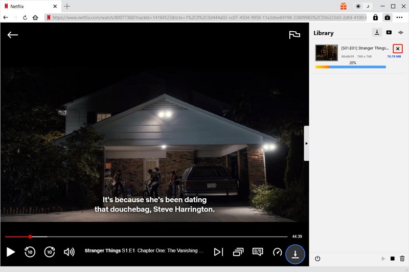 preview downloaded netflix on cleverget