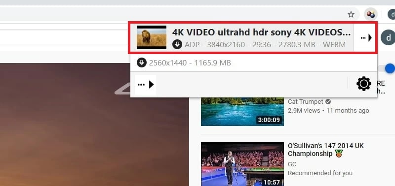 chrome video player download