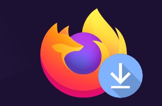 The Best 6 Mozilla Firefox Video Downloader - AceThinker