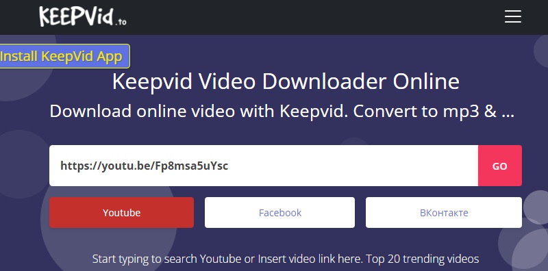 keepvid.to interface