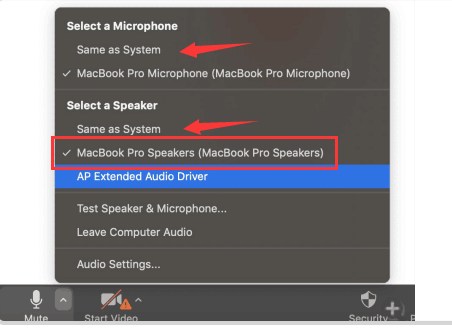 zoom audio settings