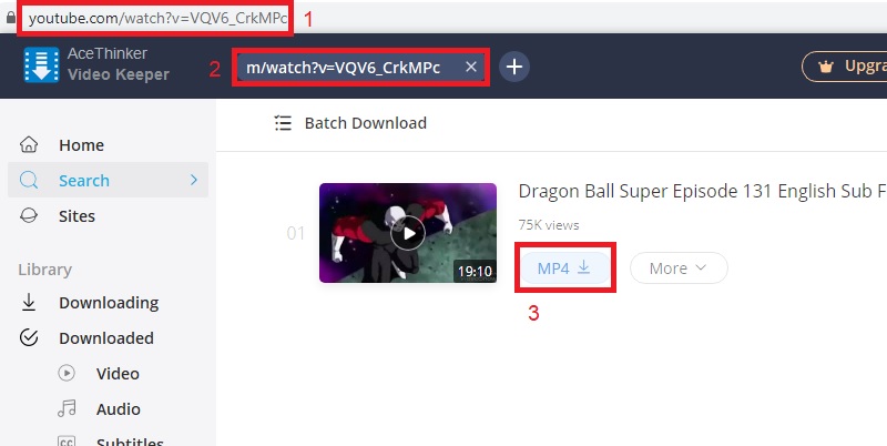 vk download dragonball