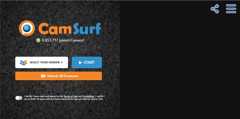 camsurf interface