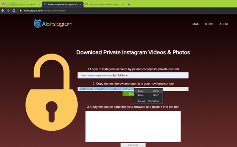 download private instagram videos aloinstagram