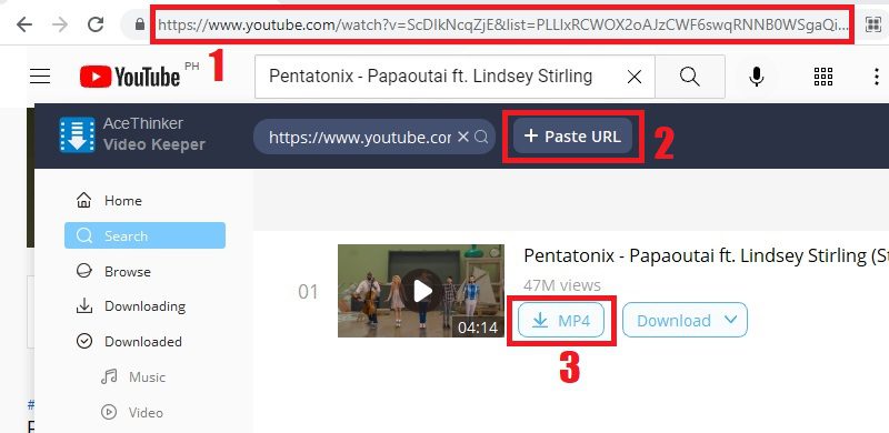download private youtube video vk step2