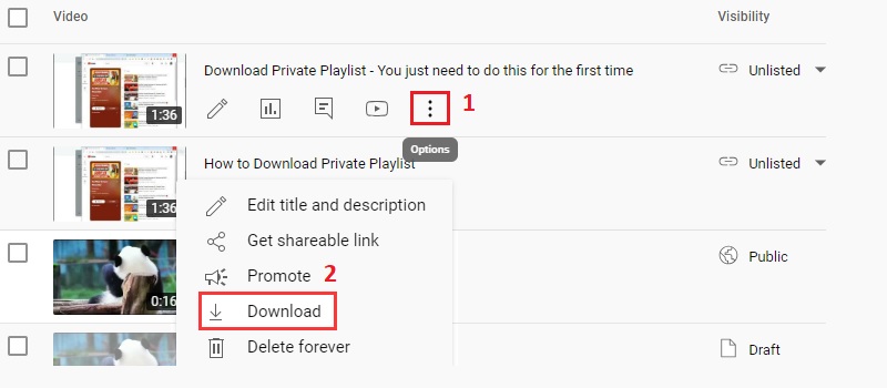 download your private youtube videos