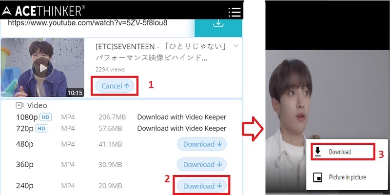 download youtube video to computer online step3