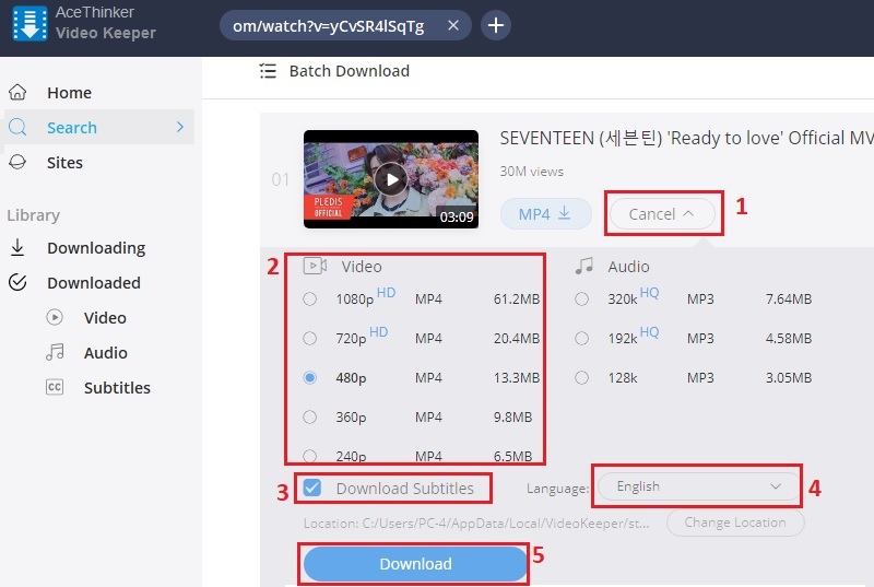 Download YouTube Video with Subtitles The Definite Guide