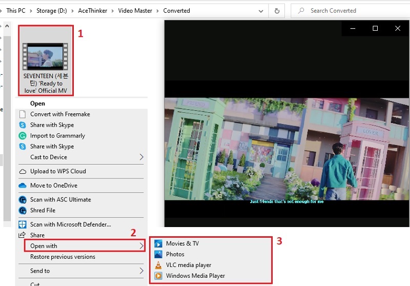 Download YouTube Video with Subtitles The Definite Guide