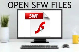 característica abrir archivo swf