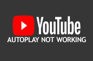 feature youtube autoplay not working