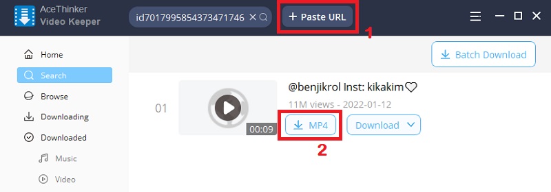 paste the video link into video keeper pro