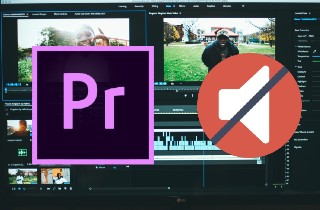 Solución rápida: Adobe Premiere Audio no se importa con video