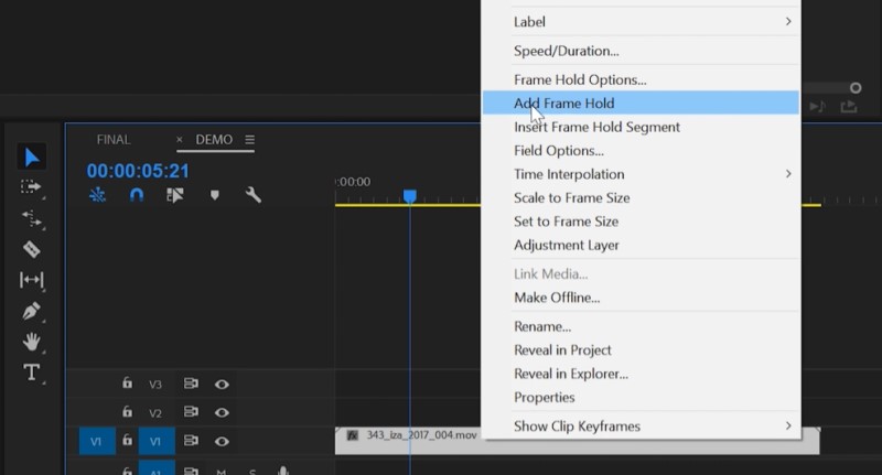 freeze frame in premiere pro hold frame