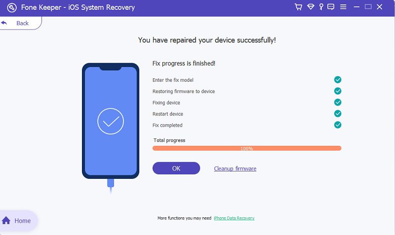 finalized the process using ios system recovery