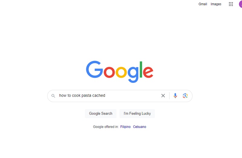 search the title with cached in google