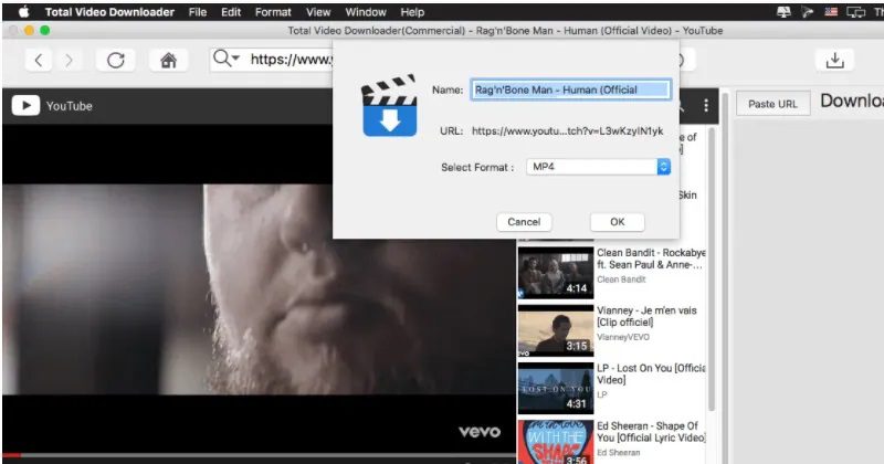 mp4 video downloader tvd interface