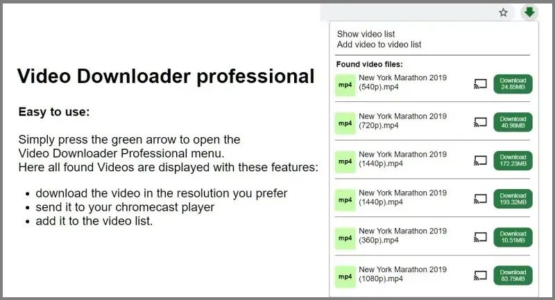 mp4 video downloader vdprofessional interface