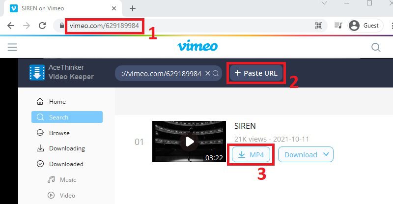 mp4 video downloader vk step2