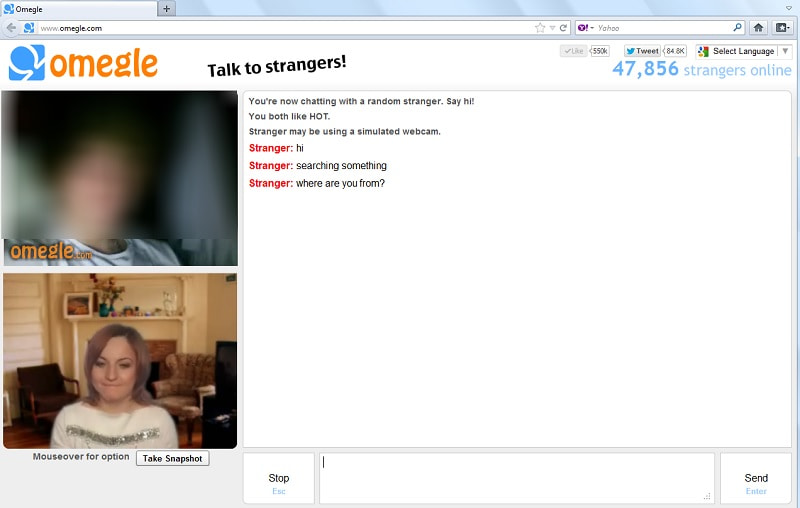 omegle interface