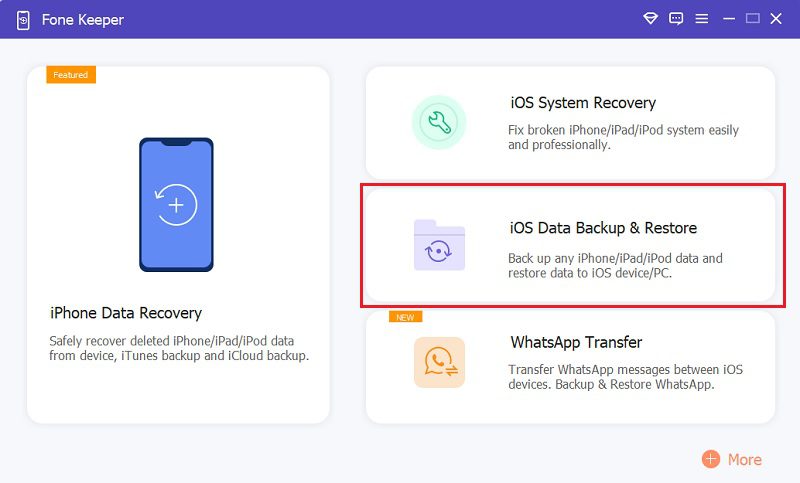 download iCloud backup to PC fk backup step1