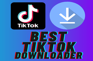 10 Best TikTok Downloader With No Watermark Included