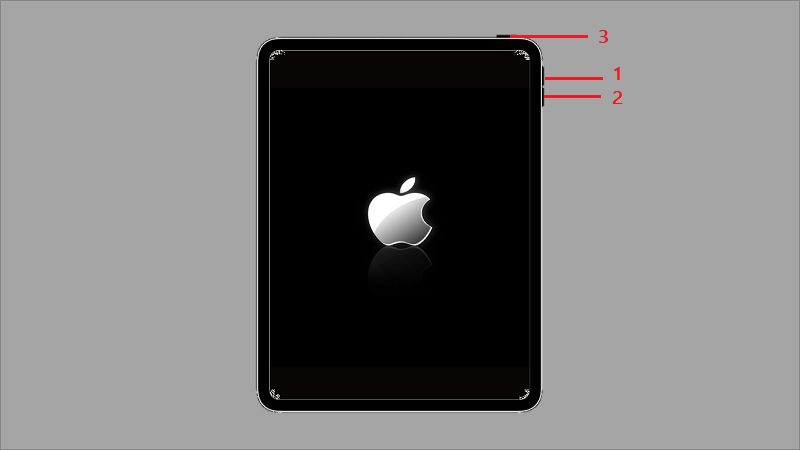 ipad black screen of death way 1 without home button