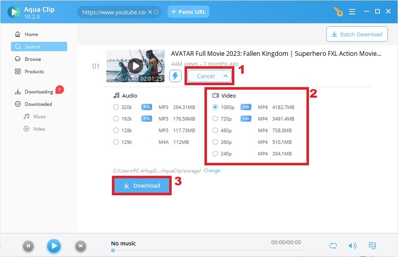 select format and begin downloading