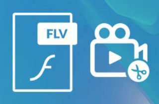 icono de archivos flv y editor de video