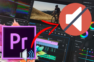 How to Remove Background Music From a Video Premiere Pro