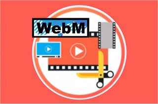 función editor de vídeo webm