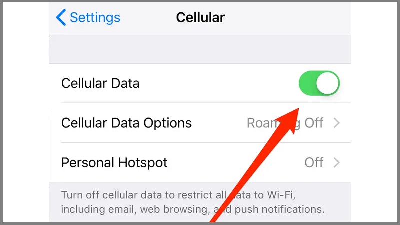 enable cellular data on iphone