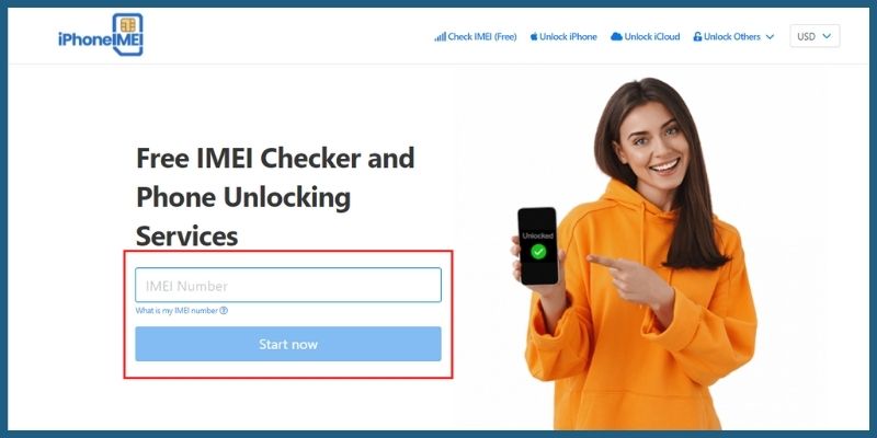  enter imei number in the text box, then click start now