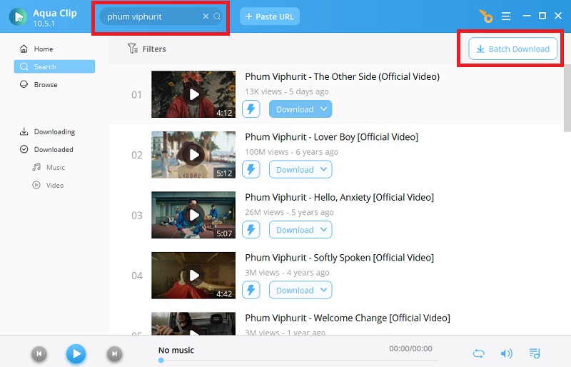 select batch download button