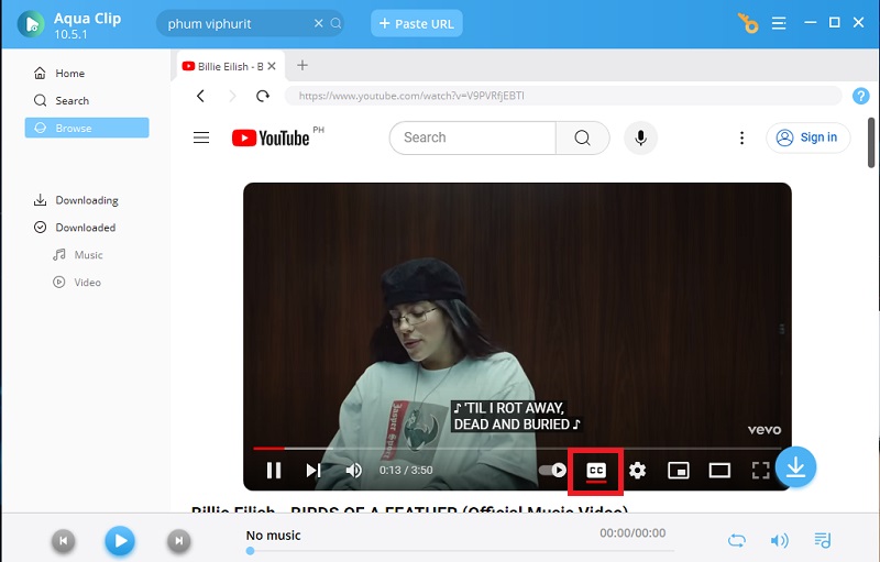 click cc button on the youtube video