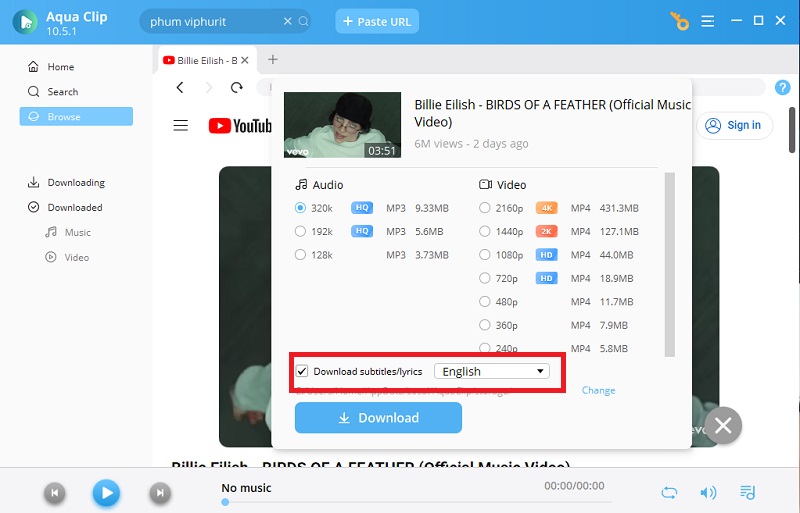 tick the download subtitles language