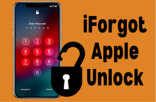 How to Use iForgot to Reset Your Account and Other Solutions