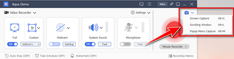 select screen capture type