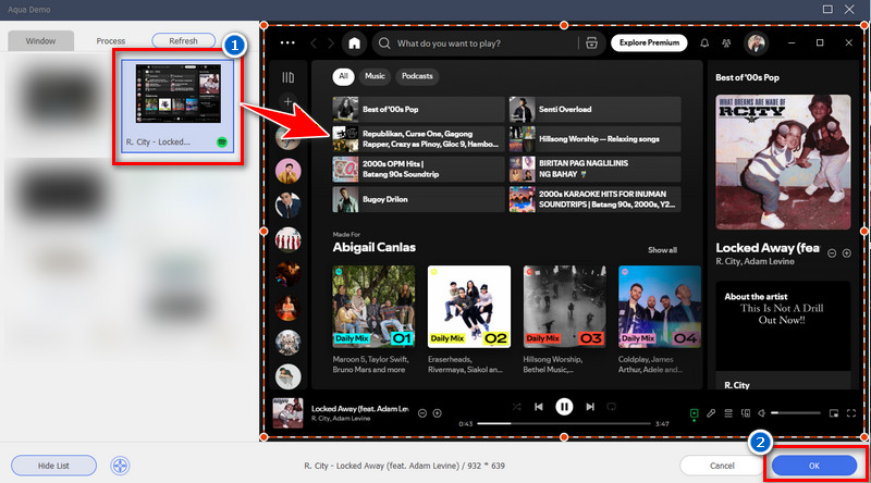 select specific window to record
