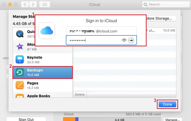 check and access icloud backup online