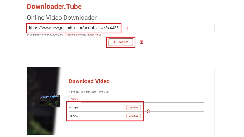 download newgrounds video with downloadertube step2