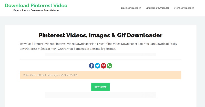 download pintereset video with expertstool