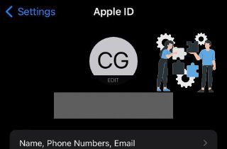 ID de Apple en gris
