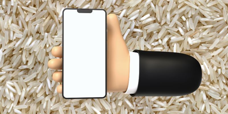 place iphone in uncooked rice