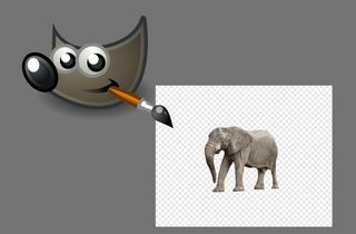 How to Use Gimp Background Remover and Alternatives