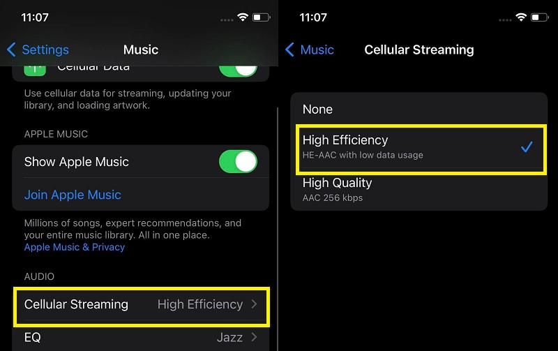reduce audio and video streaming quality